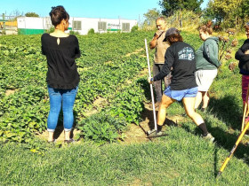 Kumara crop class HERO